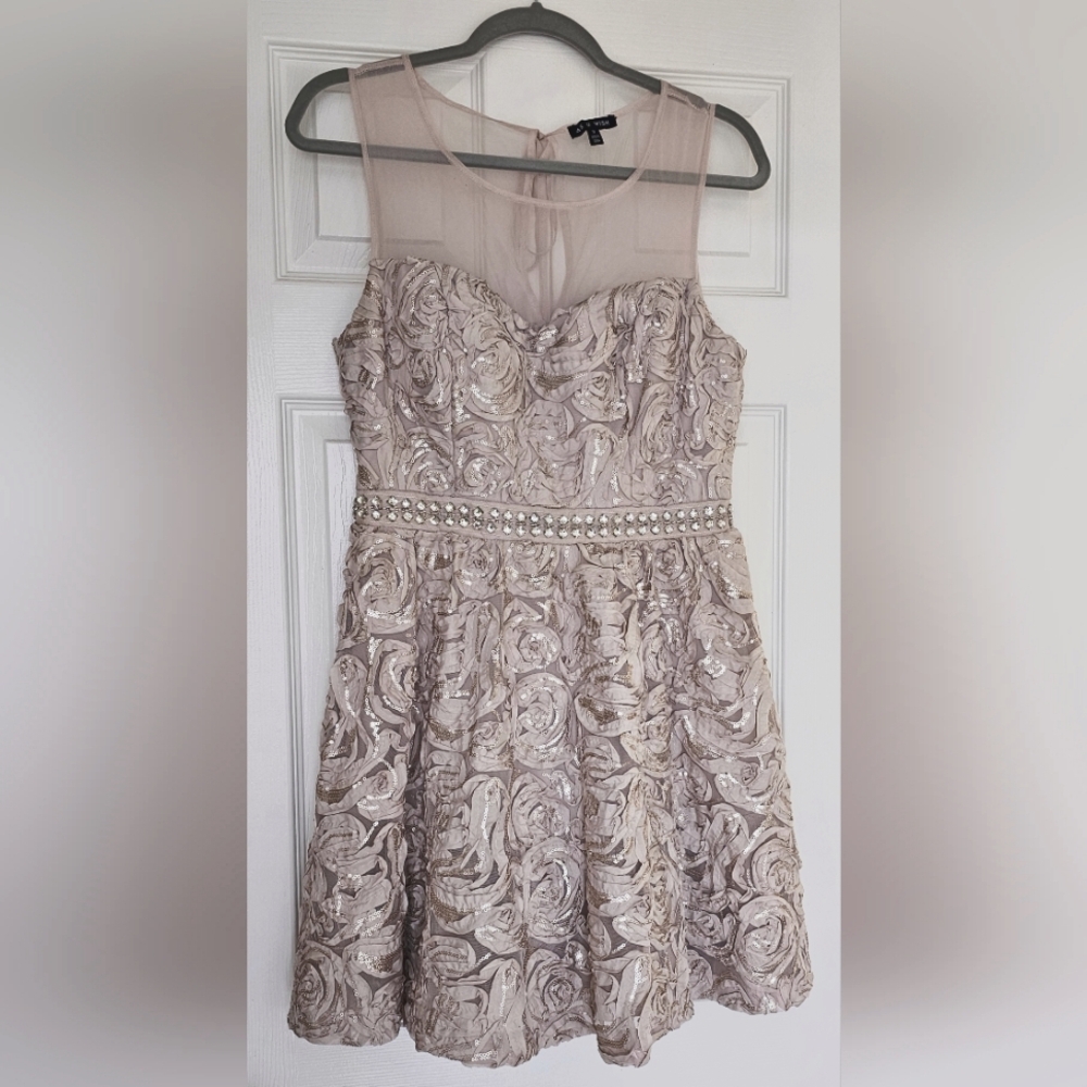As U Wish Champagne Sequin/Ruffle Mini Dress Sz9